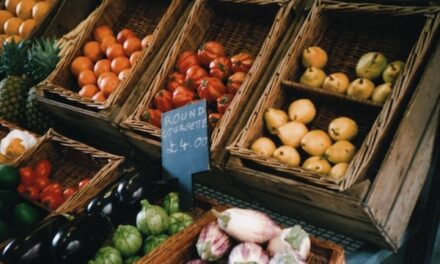 Pallet Truck Company Calls for Warehouse Efficiency Amid UK Food Shortages