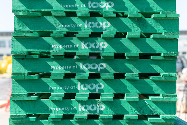 Changes at The Pallet LOOP as team readies for roll out of circular economy pallets