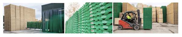 Bright green pallets in production as The Pallet LOOP ramps up for May roll out