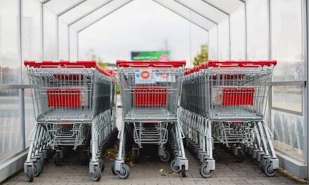 How Pallet Trucks are Adapting to Transform Warehouses During the E-Commerce Boom