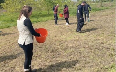 Rygor Group Invests in Wildflower Planting of local Areas