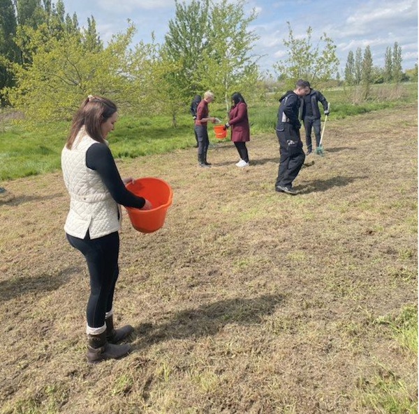 Rygor Group Invests in Wildflower Planting of local Areas